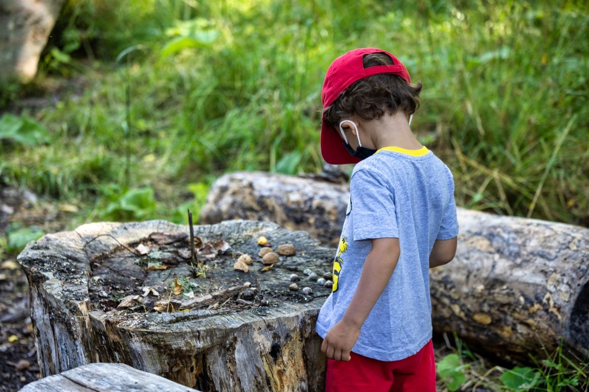 A child looking at snails on a tree stump.