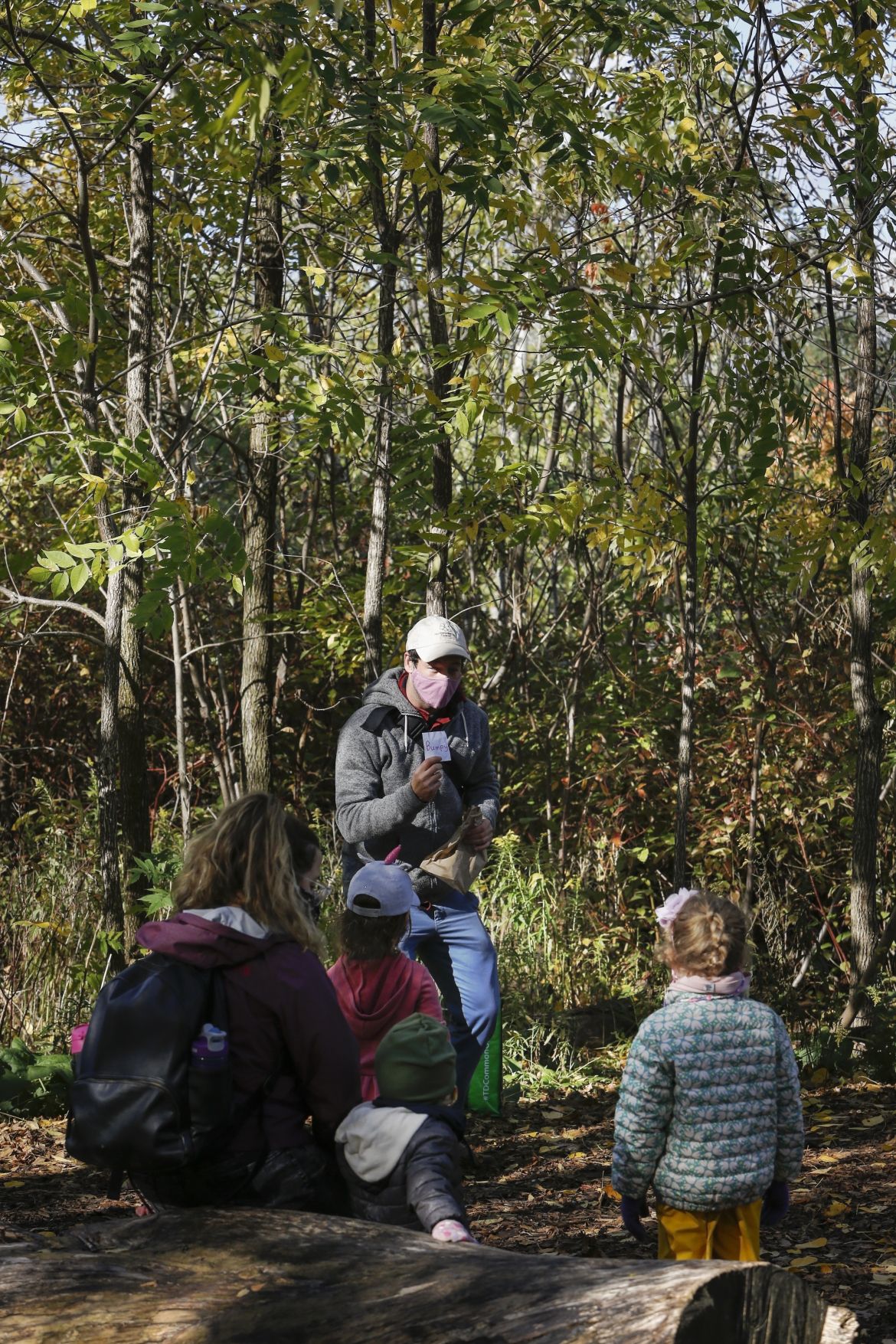 Downsview Park education staff teaching toddlers in the forest.