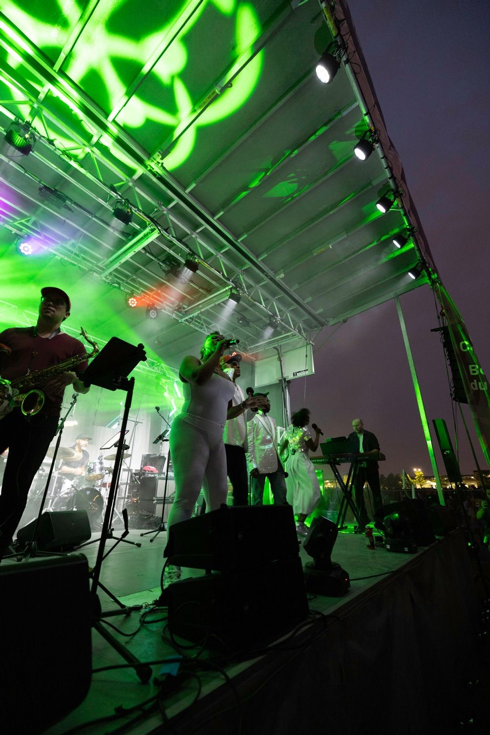 Singer and musician performing on the stage at night