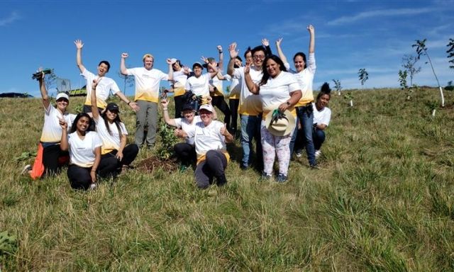 National Tree Day National Tree Day