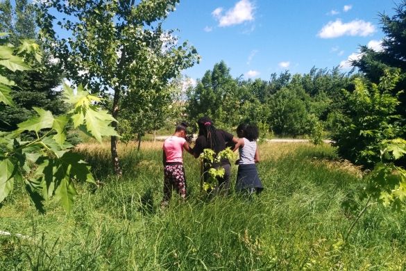 Three students standing in tall grass, surrounded by trees.