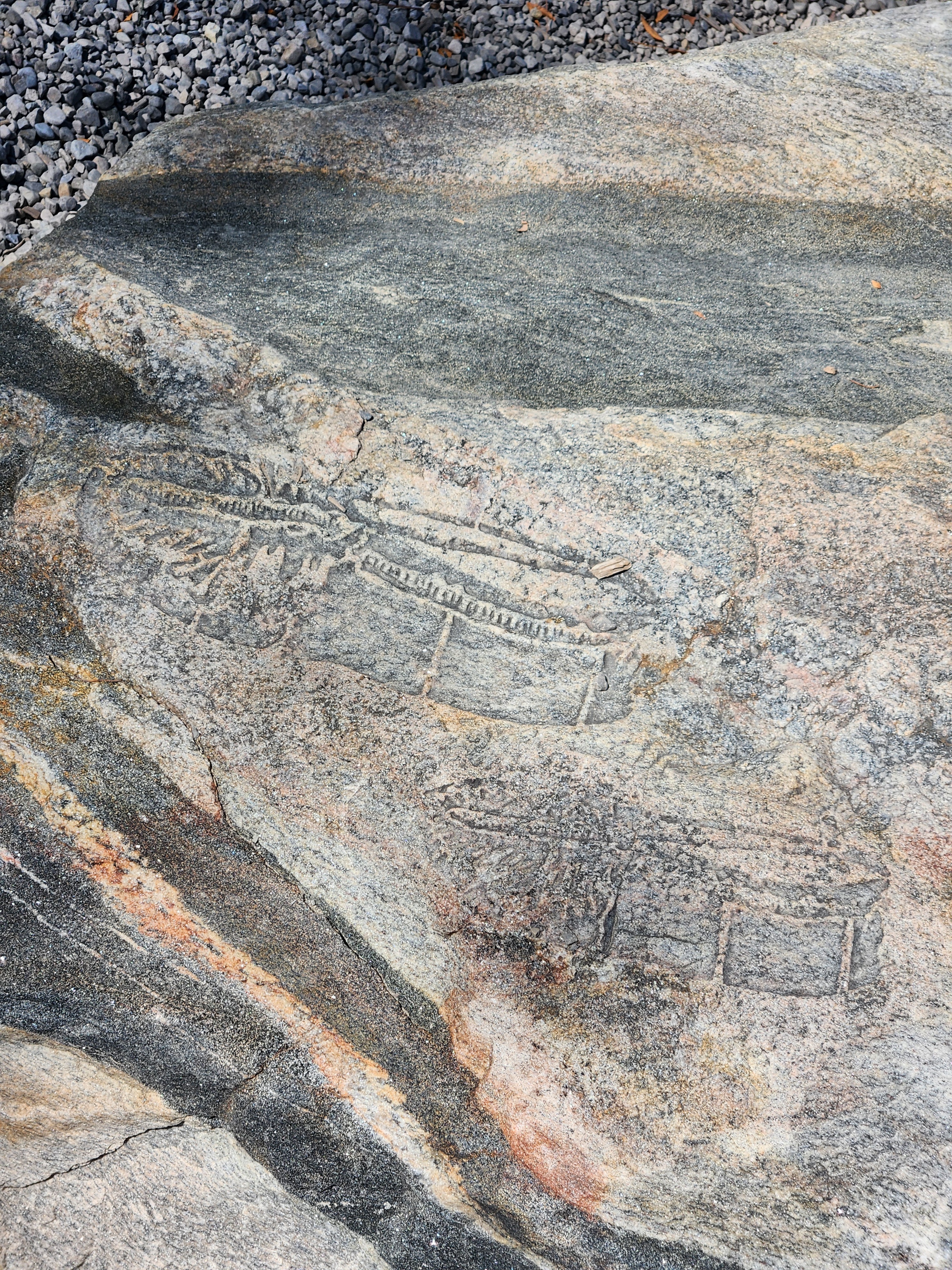 moccasin etched into rock