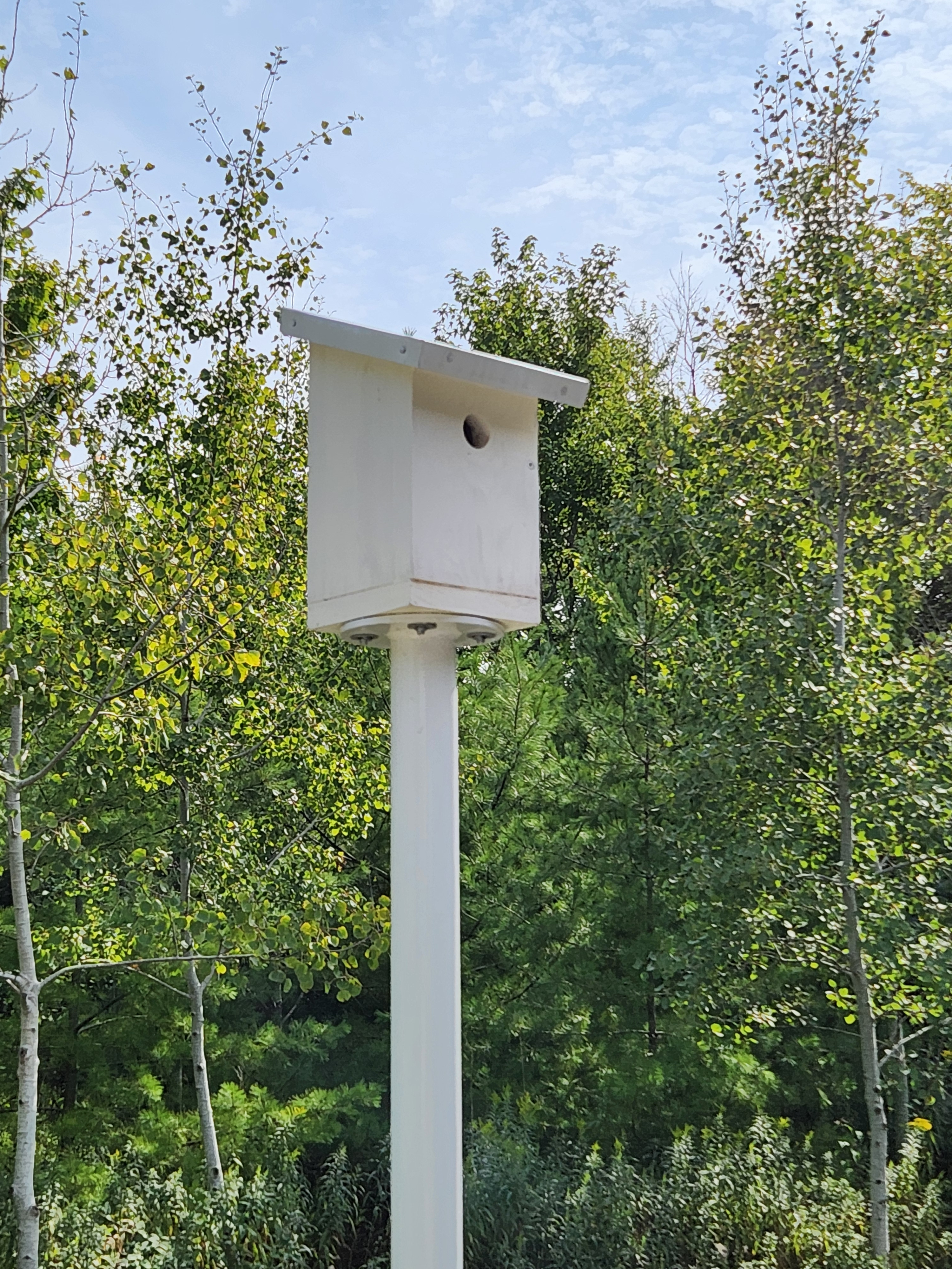 bird house