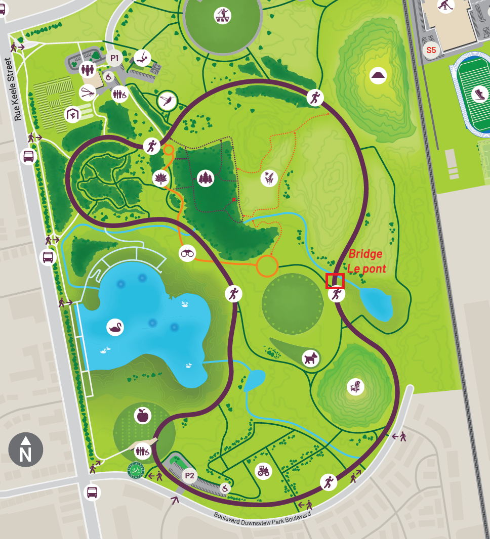 bridge map