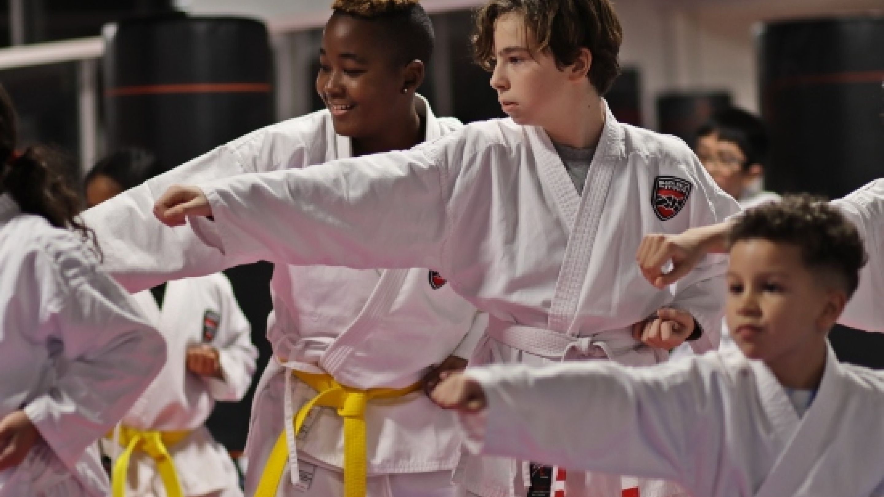 Blackbelt Institute