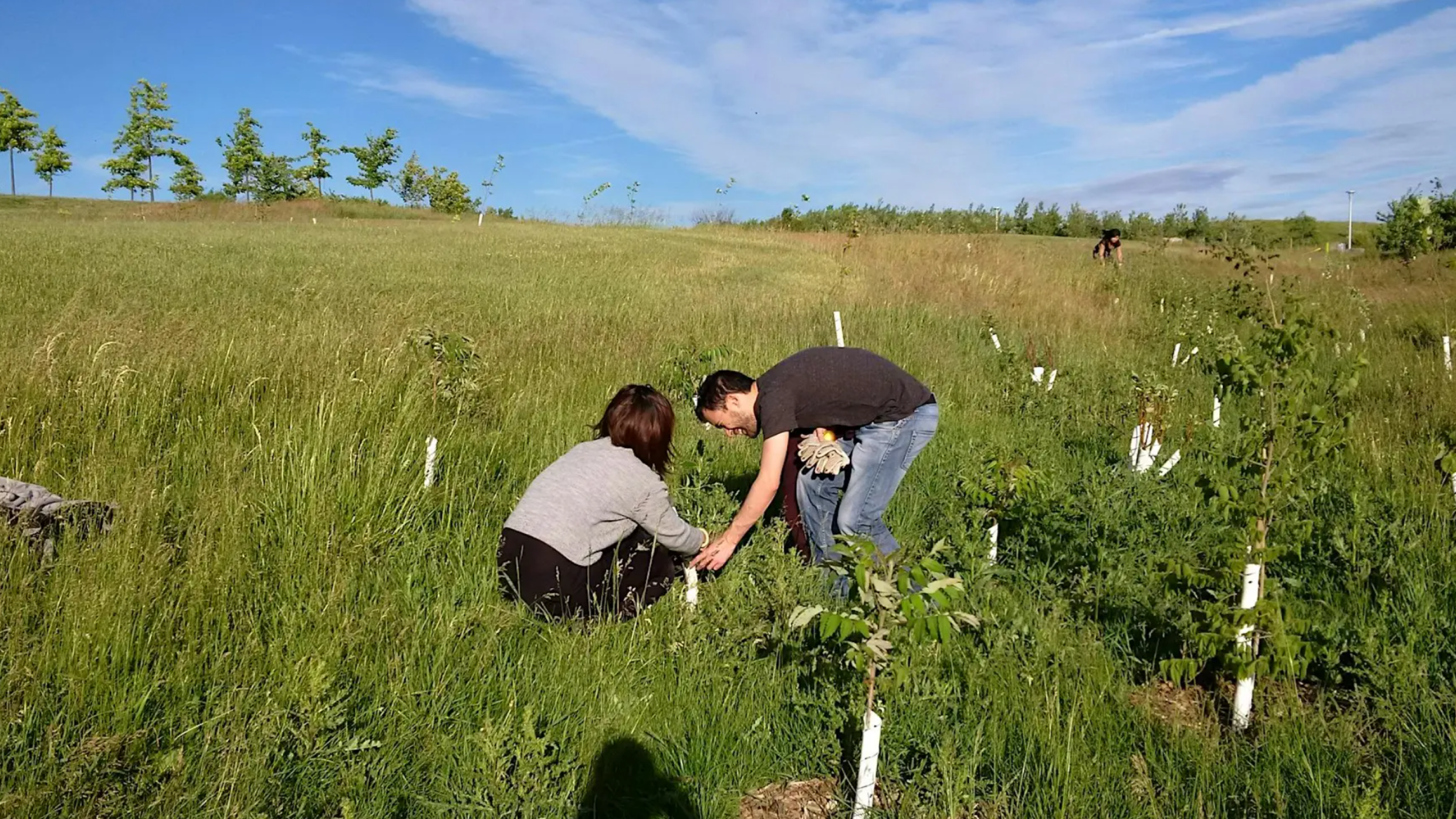 people planting