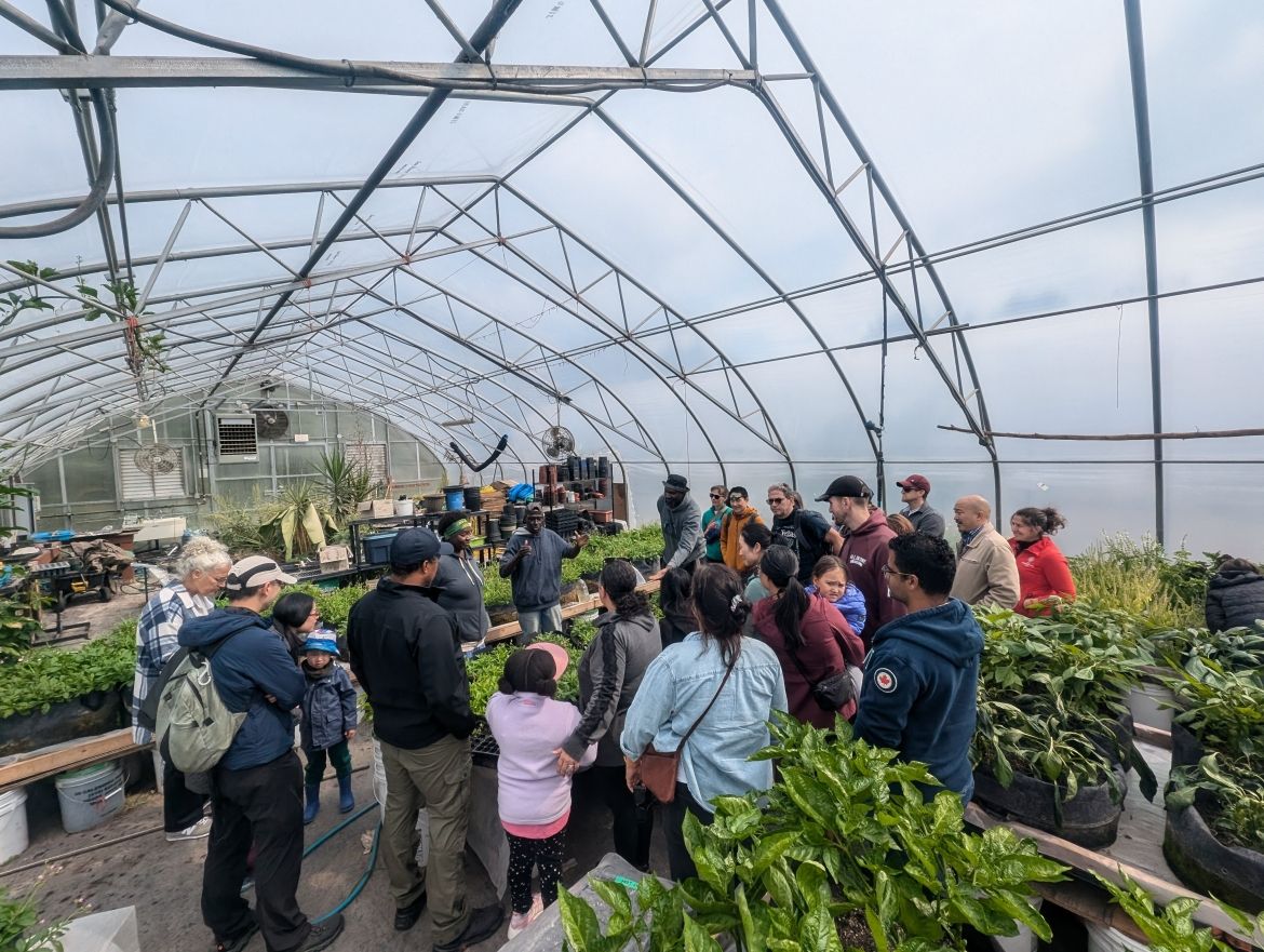 people in greenhouse