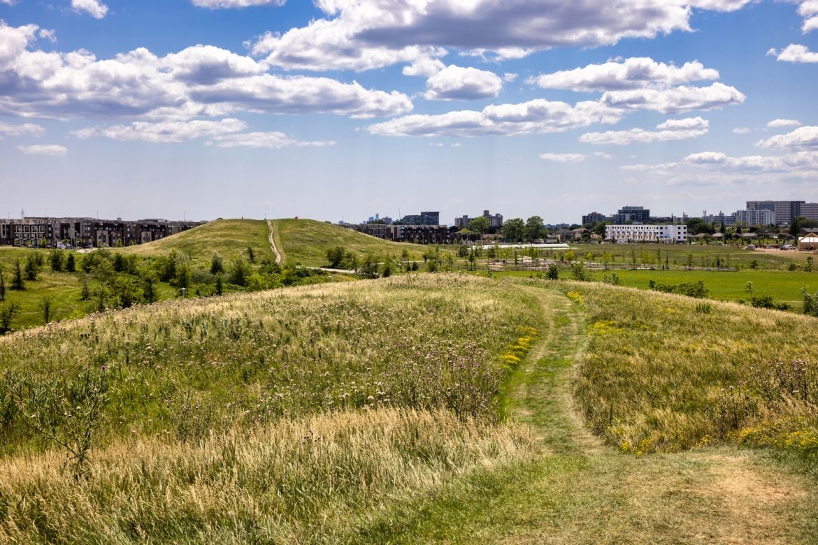 A meadow, hill and townhouses in the background.