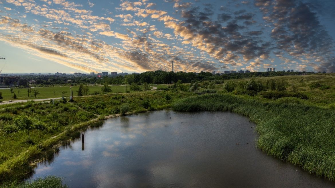 A pond surrounded by grass. A cloudy sky in the background.
