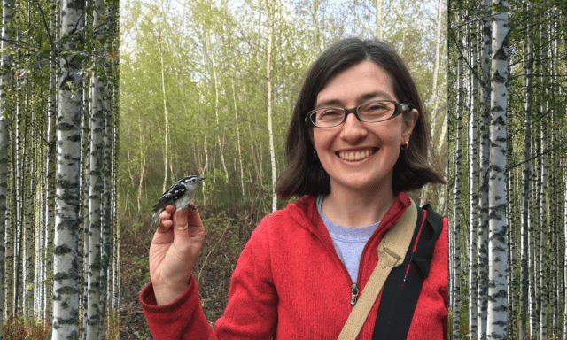 someone holding a warbler