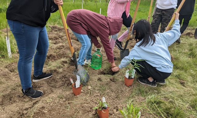 People planting at Hummingbird