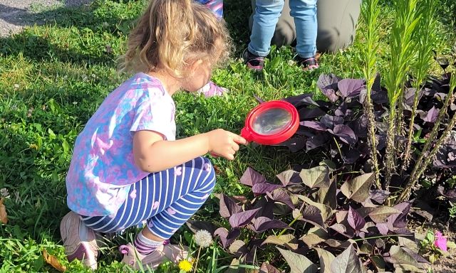 Jr. Forest Explorers: Nature Play