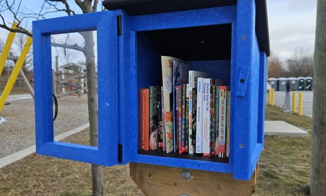 mini library