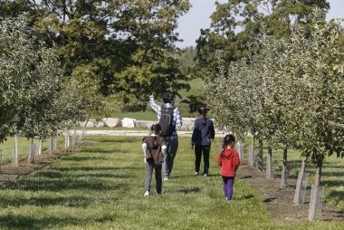 An adult and three kids exploring an orchard.