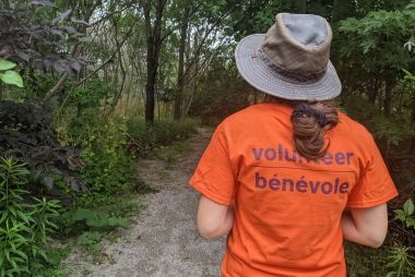 A volunteer in a bright orange t-shirt, standing by the entrance of Downsview Park’s urban forest. | Une personne bénévole portant un t-shirt orange vif, se tenant à l’entrée de la forêt urbaine du Parc Downsview.  