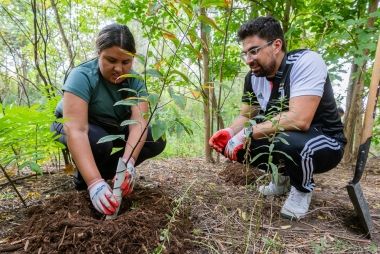 People planting