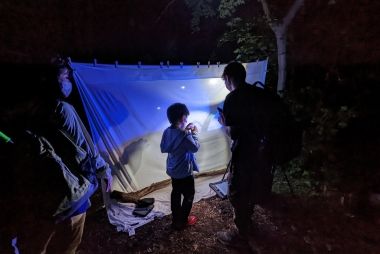 People looking at moths on a sheet at night