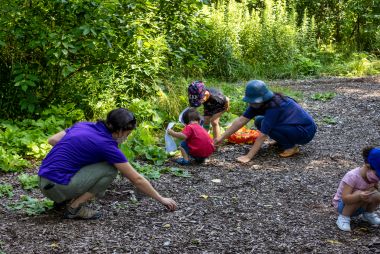 Jr. Forest Explorers: Forest Friends