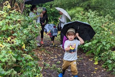 toddler walking with umbrella