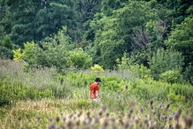 A man in a bright red shirt standing in the middle of the Tallgrass Prairie. A forest in the background.