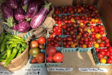 Fresh produce including tomatoes, green chillies and eggplants for sale.