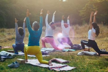 A group of people doing yoga at a park.