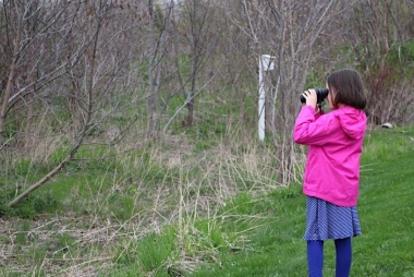 kid birding