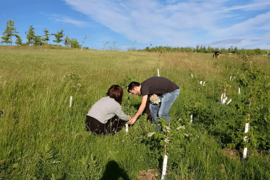 people planting
