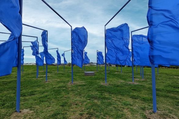 A series of dark blue flags on a grassy hill.