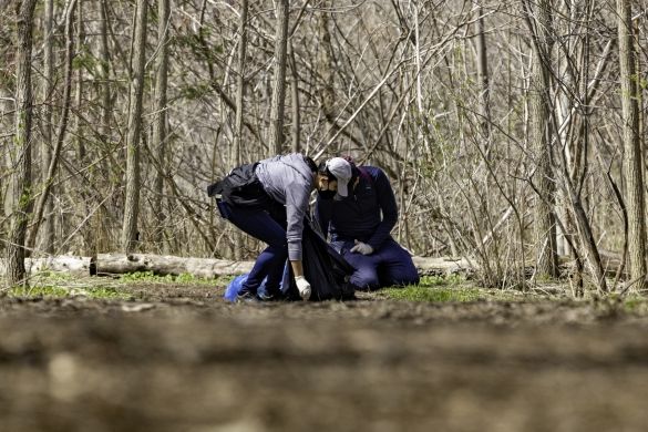 People picking up litter in the forest at Downsview Park.