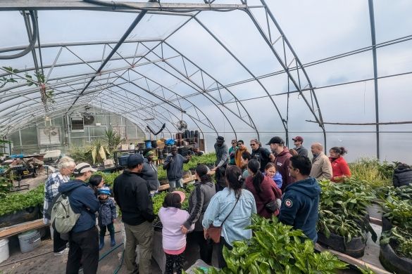 people in greenhouse