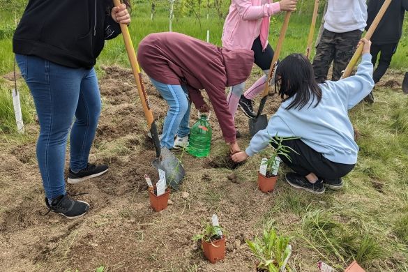 People planting at Hummingbird