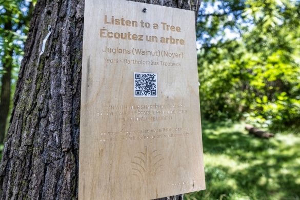 A wooden sign with a QR code on it on a tree trunk in the forest.