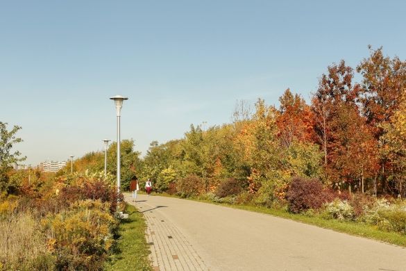 Two people walking on a paved trail, surrounded by trees with autumn leaves.