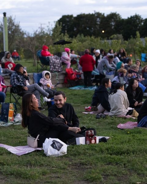 movies under the stars