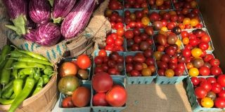 Tomatoes, eggplants and green chillies for sale at Fresh City Farms.